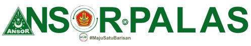PAC GP Ansor Palas
